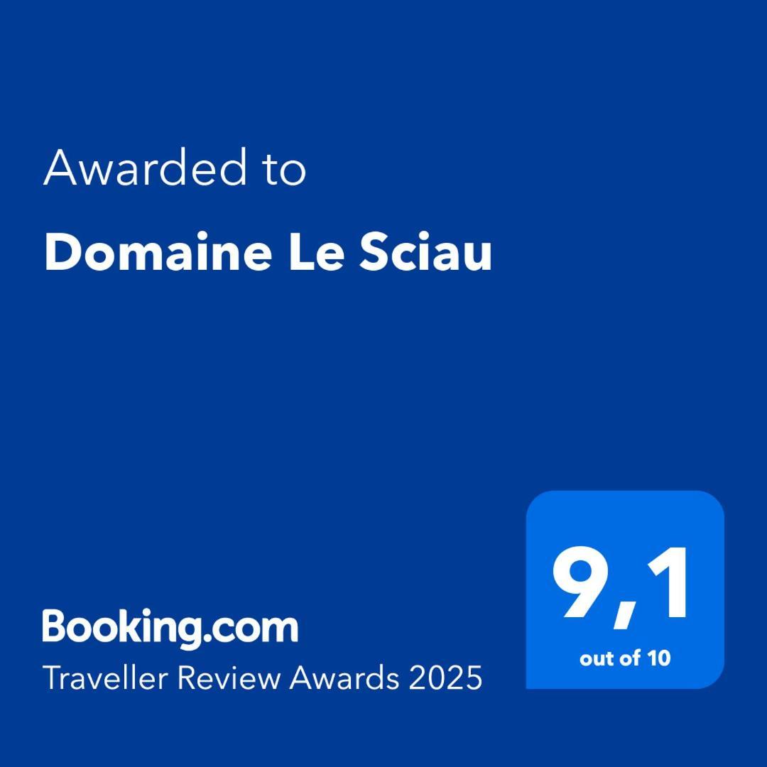 Domaine Le Sciau Bed & Breakfast Couzon Exterior photo